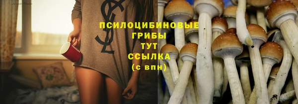 ПСИЛОЦИБИНОВЫЕ ГРИБЫ Балабаново