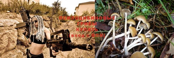 дурь Балахна