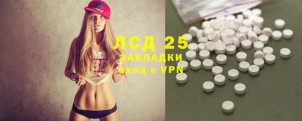 ПСИЛОЦИБИНОВЫЕ ГРИБЫ Балабаново