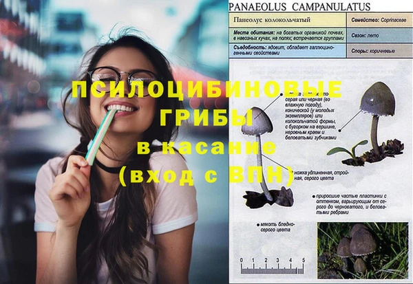 дурь Балахна